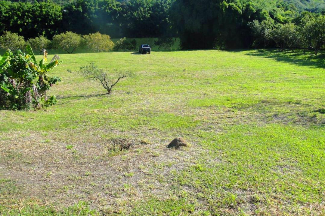 A maior e melhor área plana, beira do rio, na Freguesia da Escada.