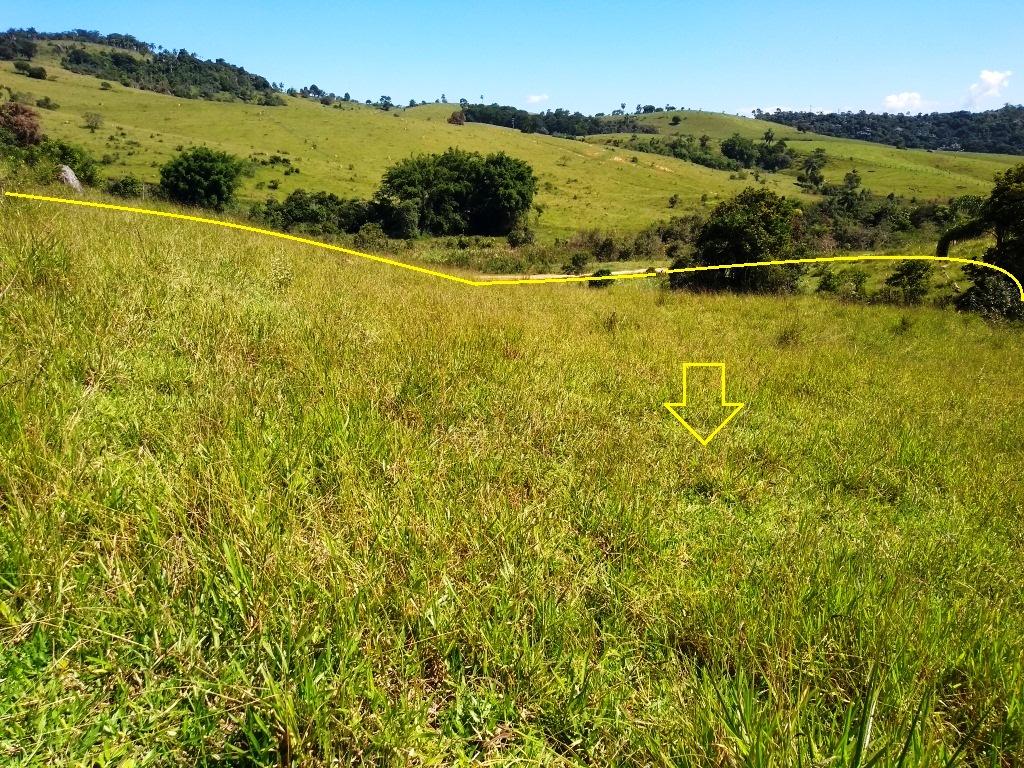Gleba de 20.000m² ao Pôr do Sol no Capoeirinha.