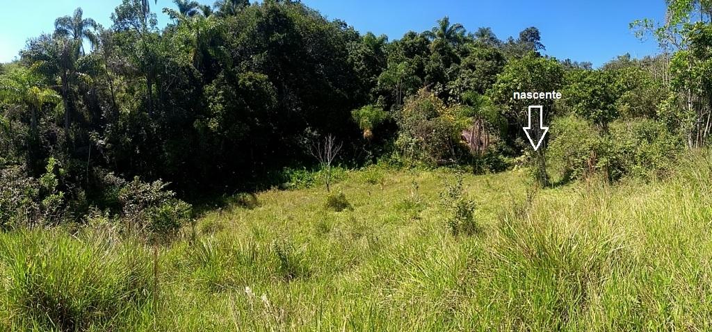 Gleba de 20.000m² ao Pôr do Sol no Capoeirinha.