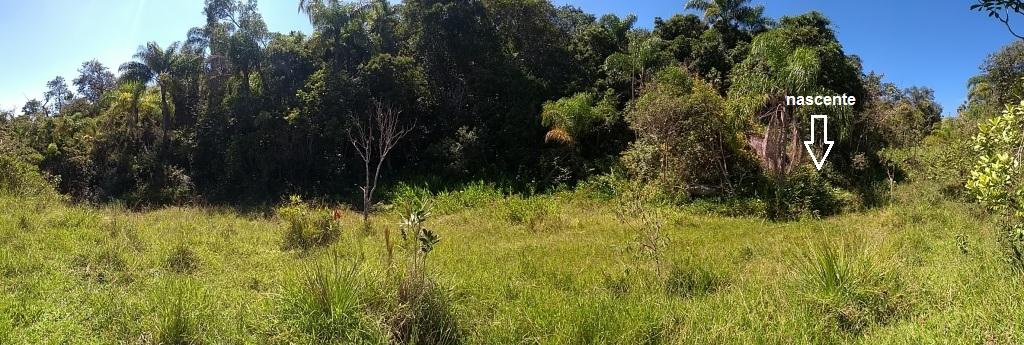 Gleba de 20.000m² ao Pôr do Sol no Capoeirinha.