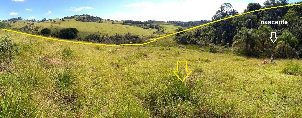 Gleba de 20.000m² ao Pôr do Sol no Capoeirinha.