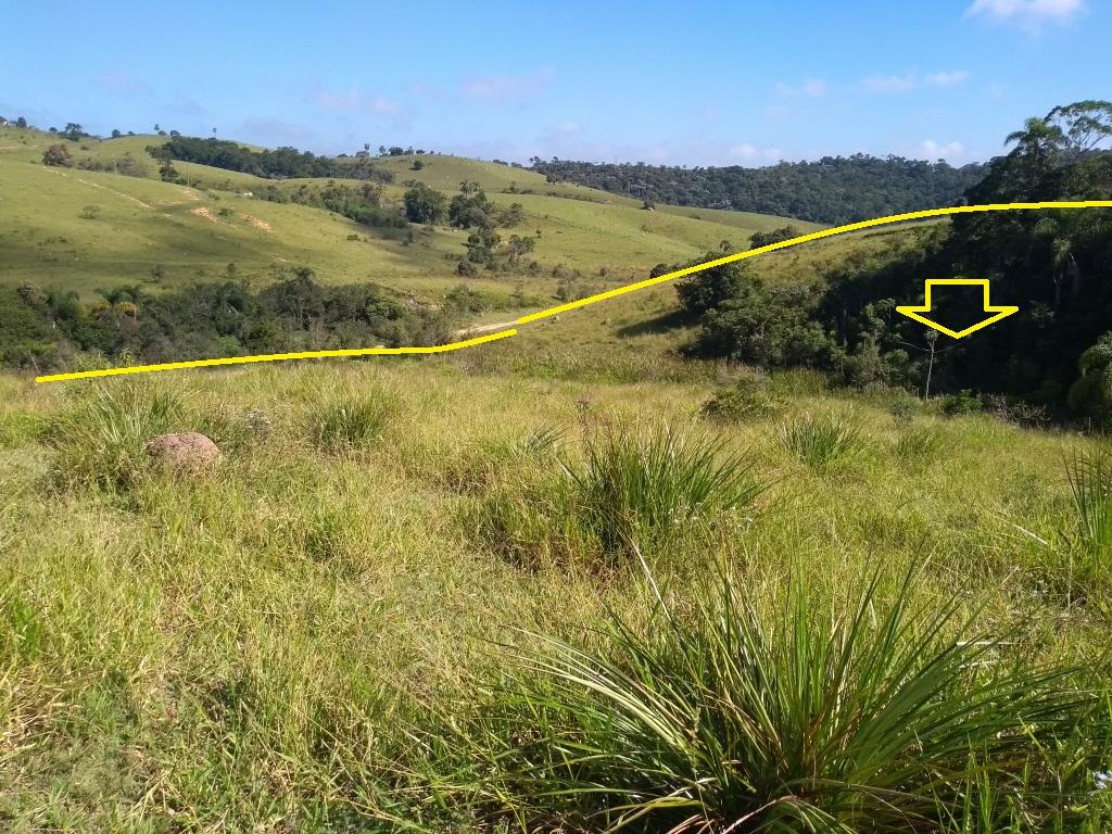 Privacidade em 20.000 m² ao redor da natureza