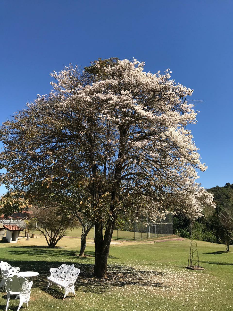 Linda chácara, beira rio, com muito conforto, lazer e privacidade.