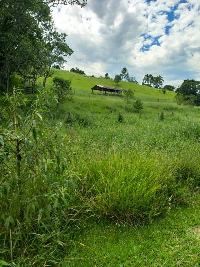 Gleba de 4 alqueires no Capoeirinha