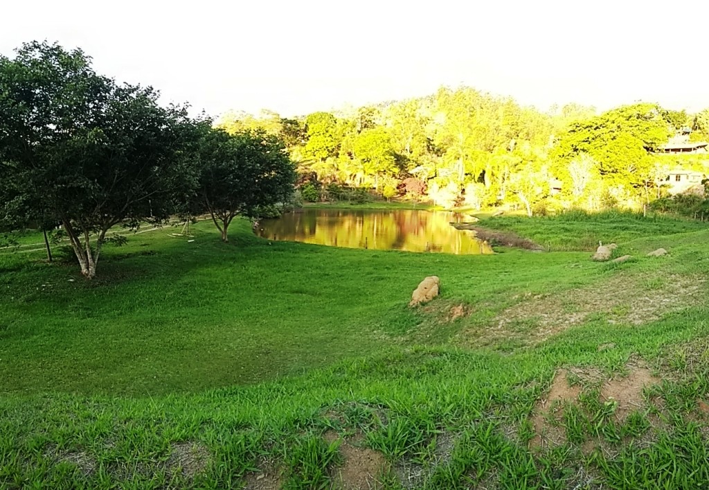 Chácara com lagos, uma linda vista e muita área verde!