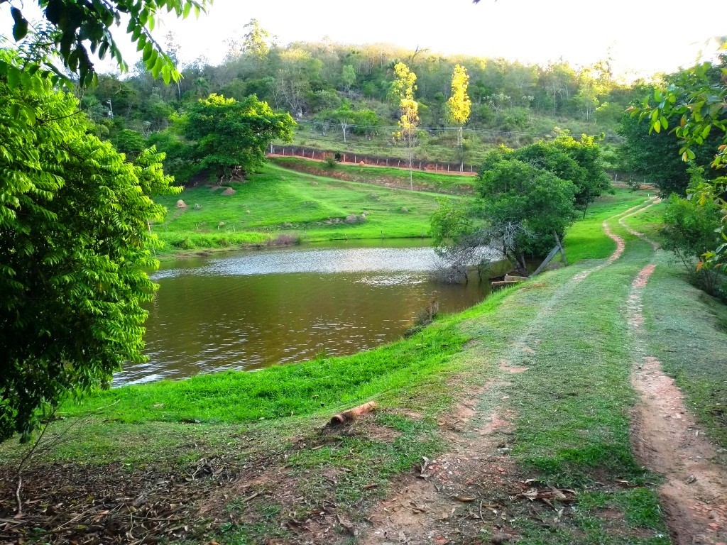 Chácara com lagos, uma linda vista e muita área verde!