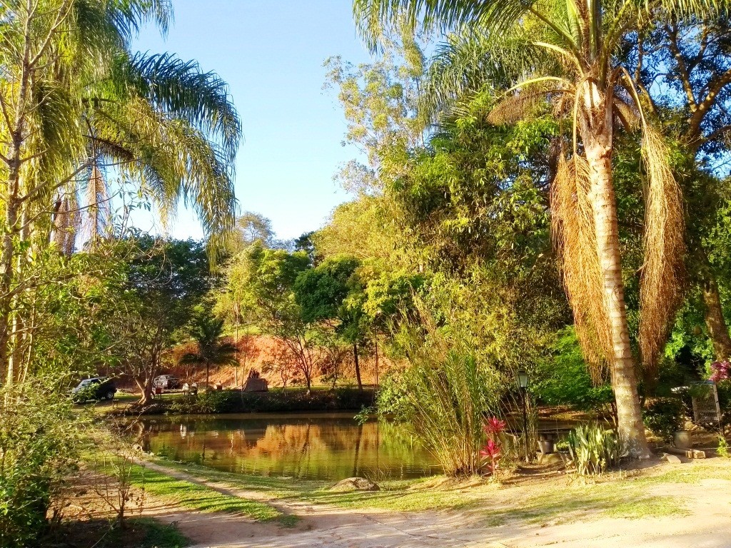 Chácara com lagos, uma linda vista e muita área verde!