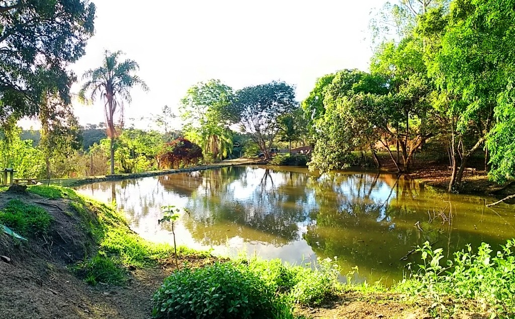 Chácara com lagos, uma linda vista e muita área verde!