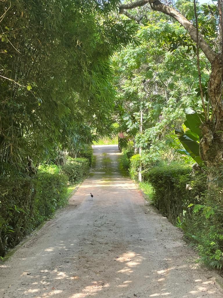 Sitio em Guararema com excelente infra estrutura