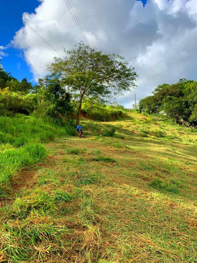 Terreno com 5.600m2